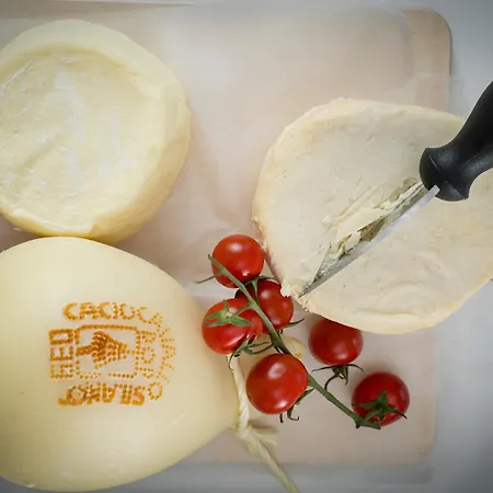 Delle Nazioni 호텔