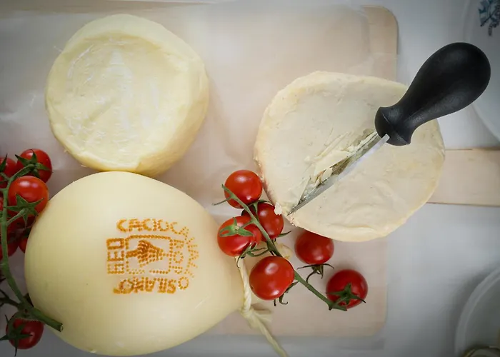 Delle Nazioni 호텔